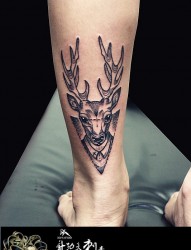 小腿后侧鹿时尚的纹身