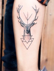 腿部小鹿图案个性纹身