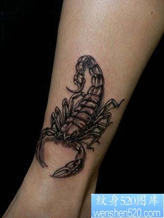 点击大图看下一张：美女脚部蝎子纹身图片