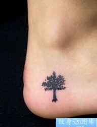 女孩子脚部小巧的图腾树纹身图片
