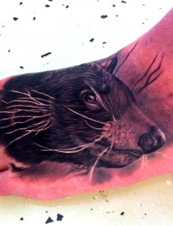 脚背上一幅个性老鼠纹身图片