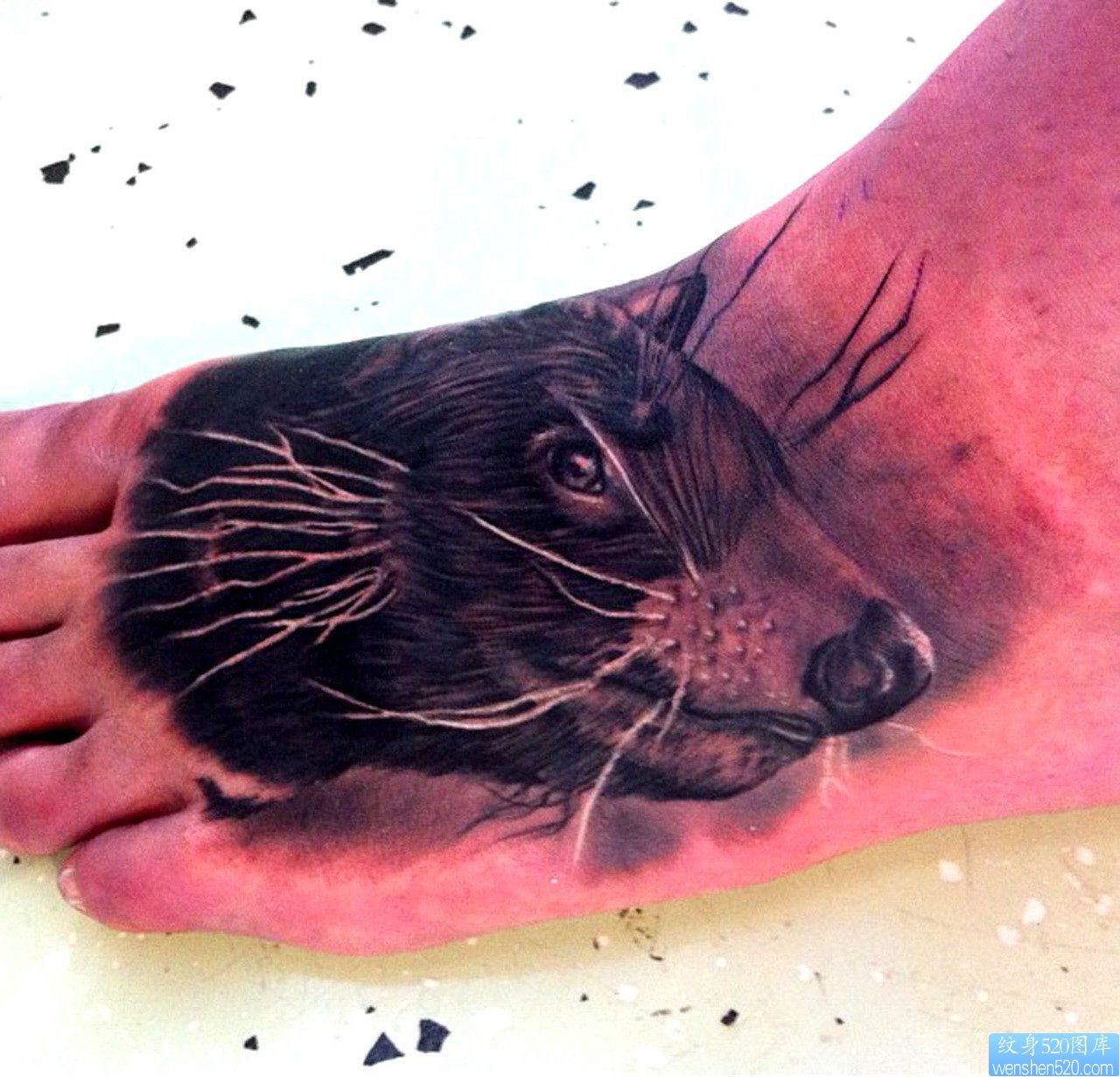 点击大图看下一张：脚背上一幅个性老鼠纹身图片