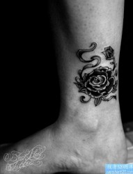 一幅脚踝玫瑰花纹身图片