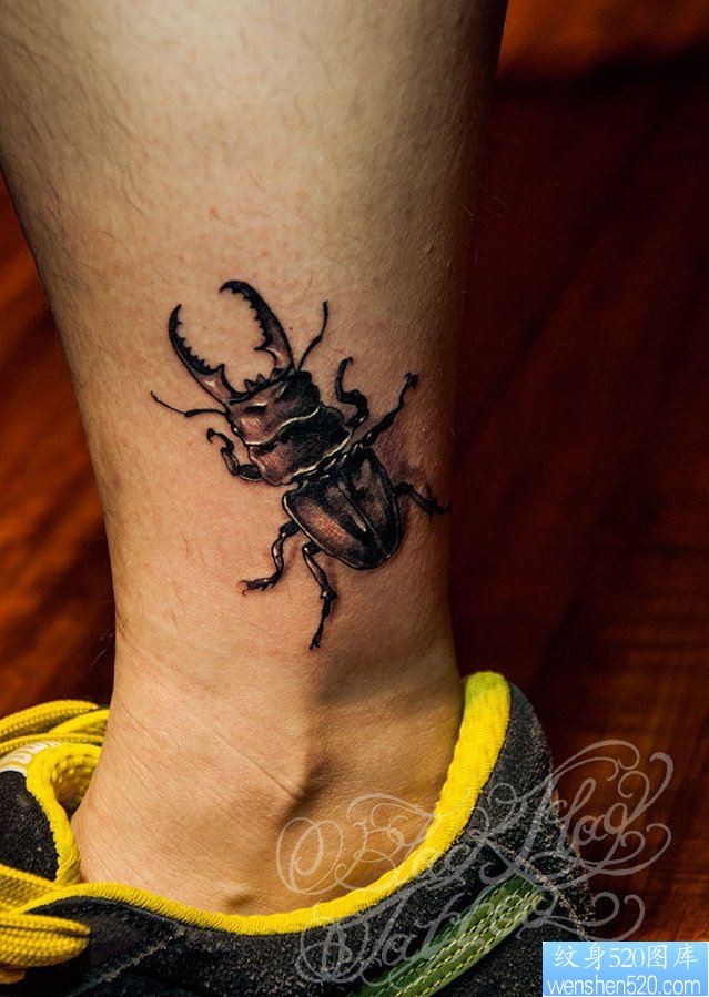 点击大图看下一张：纹身520图库分享一幅脚踝甲虫纹身图片