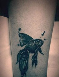 小腿金鱼纹身图案图案