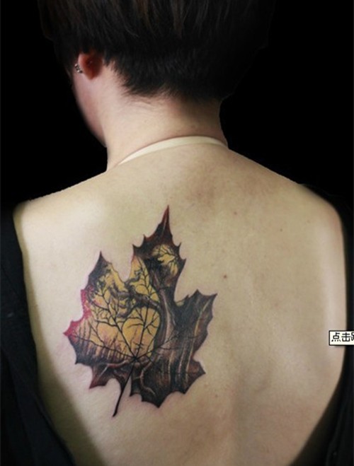 点击大图看下一张:好看的枫叶纹身图5