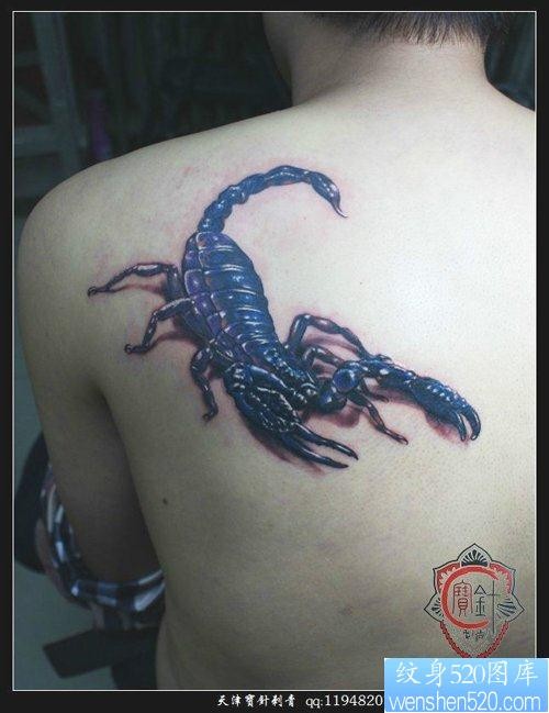点击大图看下一张：男性肩背经典的蝎子纹身图片