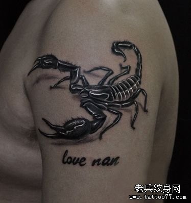 点击大图看下一张：男性手臂欧美风格的蝎子纹身图片