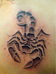一张流行经典的石裂烙印蝎子纹身图片