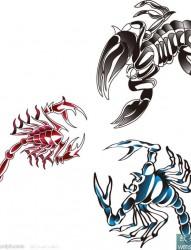 三只彩色的蝎子纹身手稿图