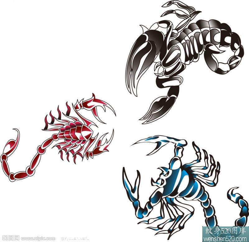 点击大图看下一张：三只彩色的蝎子纹身手稿图