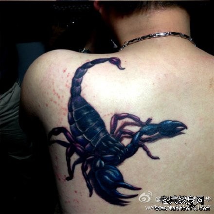 点击大图看下一张：男生肩背超酷的蝎子纹身图片