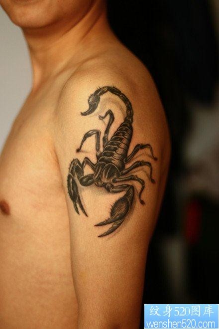 点击大图看下一张：男性手臂流行经典的蝎子纹身图片