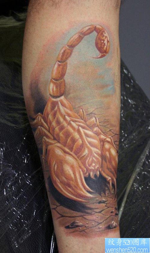 点击大图看下一张：腿部流行经典的欧美彩色蝎子纹身图片