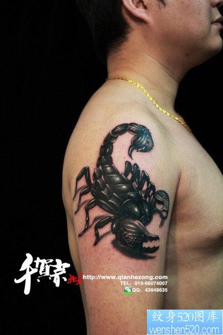 点击大图看下一张：手臂超酷帅气的蝎子纹身图片
