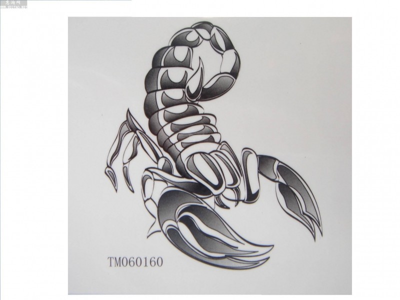 点击大图看下一张：一组蝎子纹身刺青手稿素材