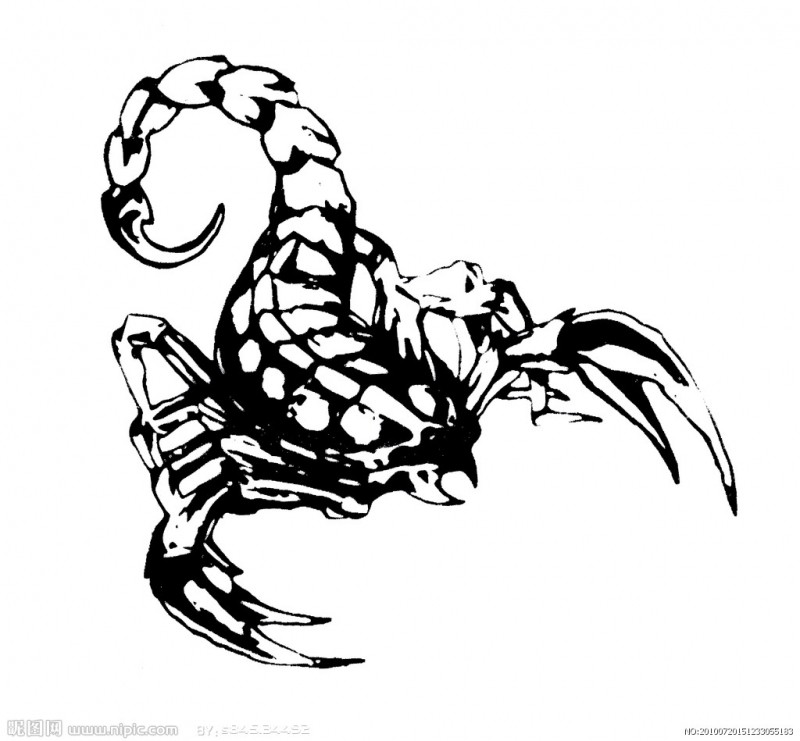 点击大图看下一张：一组蝎子纹身刺青手稿素材图2