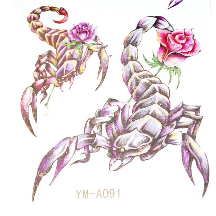 点击大图看下一张：一组蝎子纹身刺青手稿素材图4