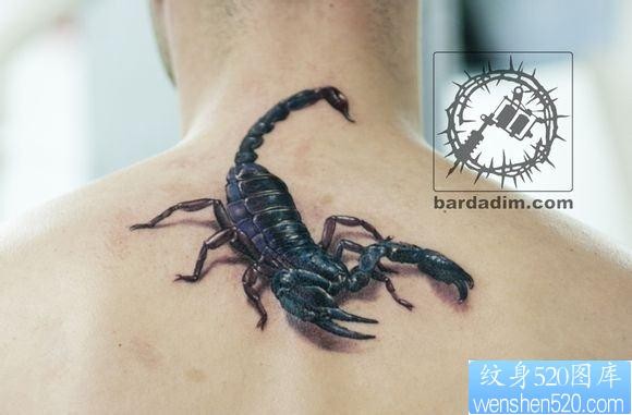 点击大图看下一张：男生背部经典写实的蝎子纹身图片
