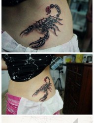 女人腰部经典好看的图腾蝎子纹身图片