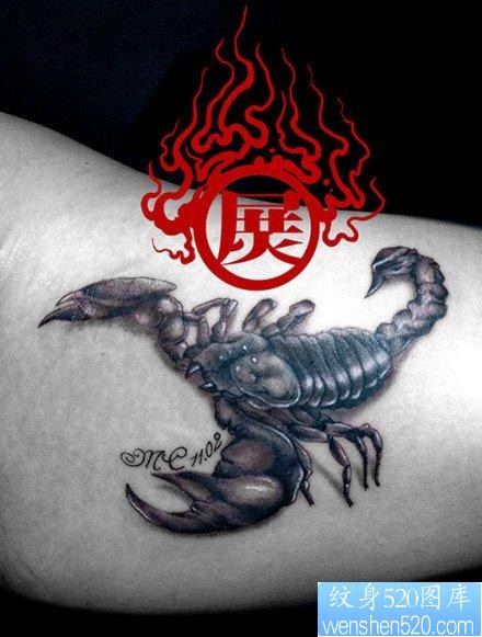 点击大图看下一张：手臂内侧很酷经典的蝎子纹身图片