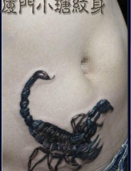 男性腹部一张经典的蝎子纹身图片
