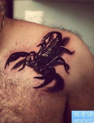男生肩膀处流行超帅的蝎子纹身图片
