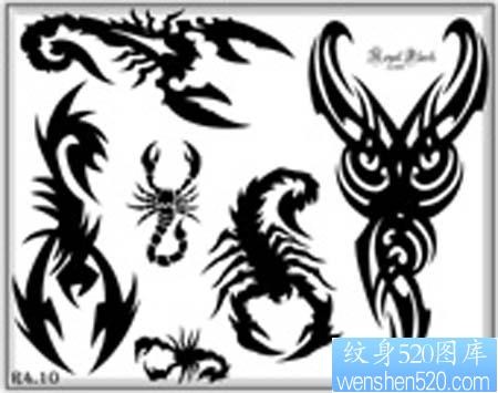 点击大图看下一张：几款经典图腾蝎子纹身图案