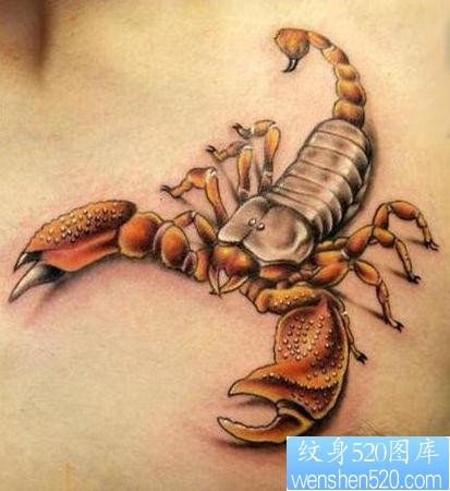 点击大图看下一张：蝎子纹身图片：胸部彩色蝎子纹身图案