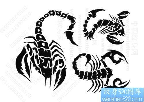 点击大图看下一张：经典流行几款图腾蝎子纹身图案