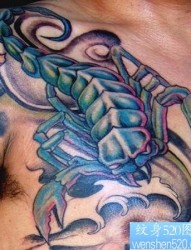 一张好看的图腾蝎子纹身图片