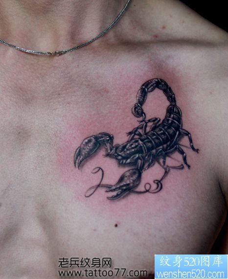 点击大图看下一张：胸部经典的蝎子纹身图片