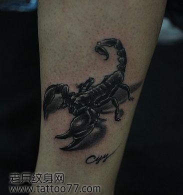 点击大图看下一张：经典帅气的腿部蝎子纹身图片