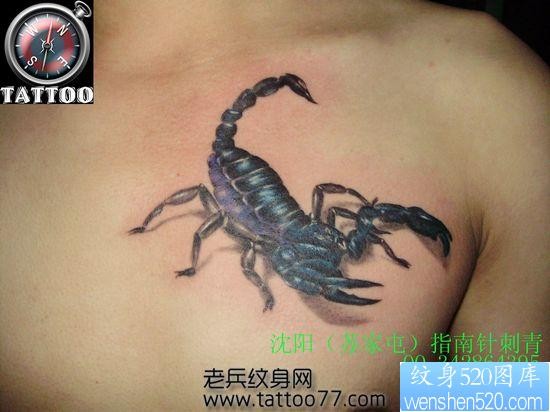 点击大图看下一张：男性喜欢的胸部蝎子纹身图片
