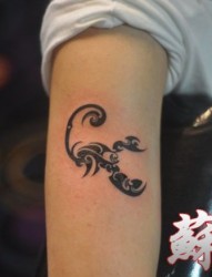 手臂帅气流行的蝎子纹身图片