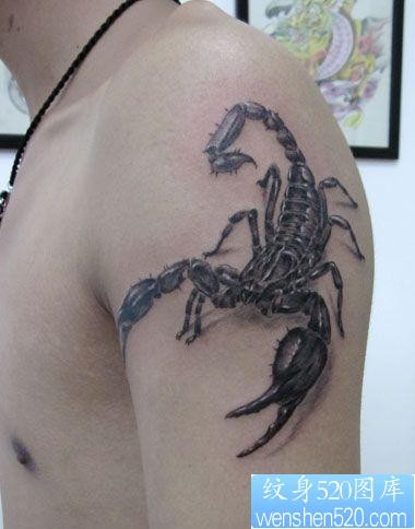 点击大图看下一张：手臂帅气流行的蝎子纹身图片
