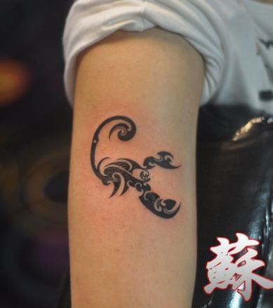 点击大图看下一张：大臂经典帅气的图腾蝎子纹身图片