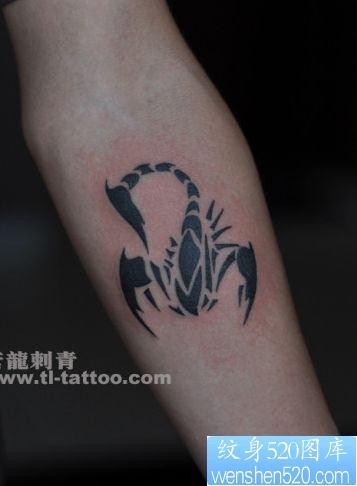 点击大图看下一张：经典时尚的手臂图腾蝎子纹身图片