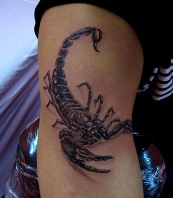 点击大图看下一张：手臂经典帅气的蝎子纹身图片