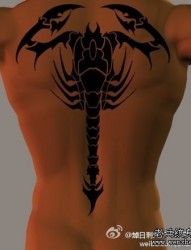 蝎子纹身图片：背部图腾蝎子纹身图案