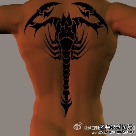 点击大图看下一张：蝎子纹身图片：背部图腾蝎子纹身图案