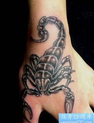 胸部一张帅气的蝎子纹身图片