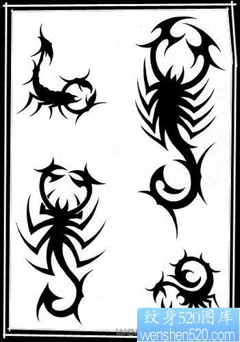 点击大图看下一张：图腾纹身图片：图腾蝎子纹身图片图案