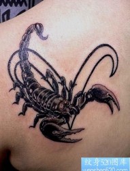 蝎子纹身图片：一张肩部蝎子纹身图案
