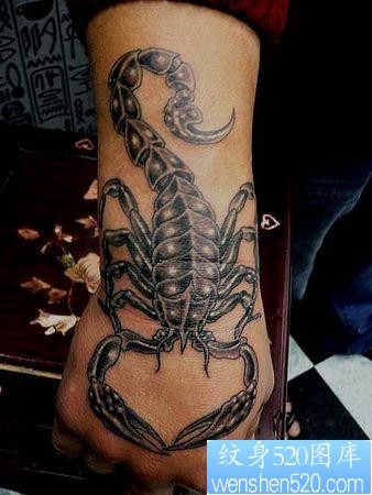 点击大图看下一张：蝎子纹身图片：一张手部手背蝎子纹身图案