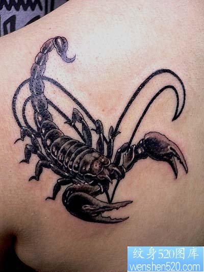 点击大图看下一张：蝎子纹身图片：一张肩部蝎子纹身图案