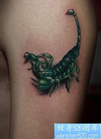 点击大图看下一张：蝎子纹身图片：一张手臂彩色蝎子纹身图案