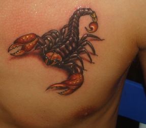 点击大图看下一张：胸部彩色蝎子纹身图案