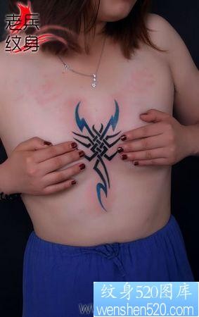 点击大图看下一张：一张另类性感美女胸部彩色图腾蝎子纹身图案