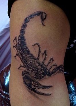 点击大图看下一张：蝎子纹身图片：一张手臂蝎子纹身图案